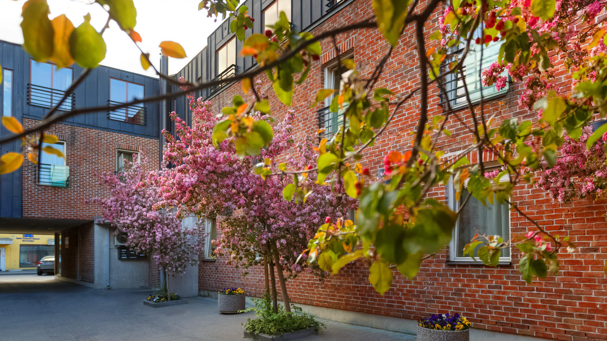 Hotel Bern Boutique By Rikas Tallinn